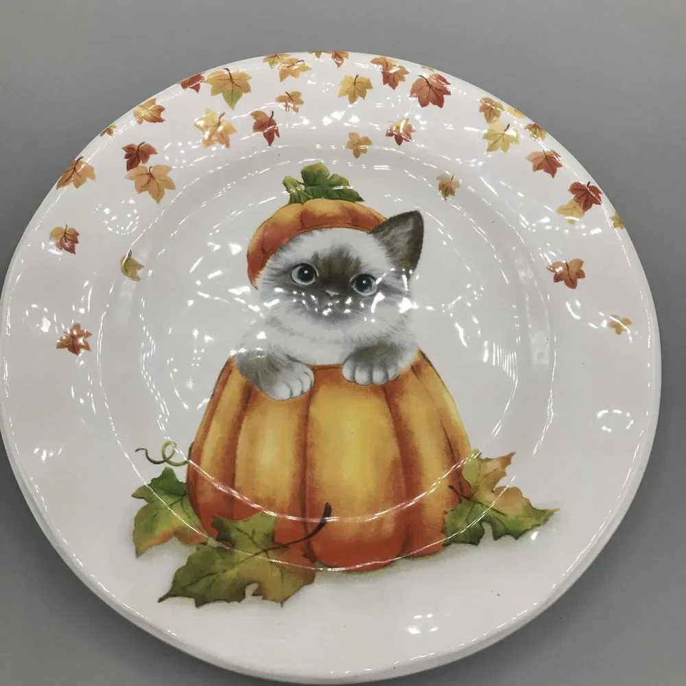 Pier 1 Exclusive FALL HALLOWEEN CAT‎ IN PUMPKIN Salad Plate  SO CUTE